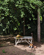 Images Shw2038_13.jpg